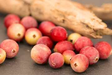 Gesund durch den Herbst - Nahaufnahme von frisch geernteten Cranberrys