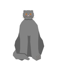 A gray fold-eared cat with yellow eyes sitting up straight. A stylized image of a cute kitten. Vector illustration in a flat style.