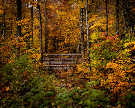 Automne au Canada