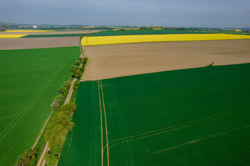 Sown farm fields in the countryside. View from a height.