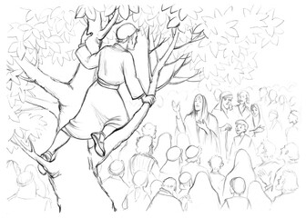 Zacchaeus. The man in the tree looks out into the crowd. Pencil drawing