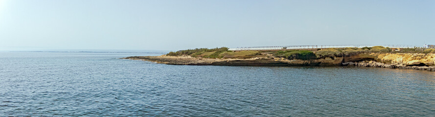 Punta delle formiche