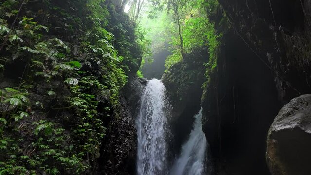 Fabulous wild nature in tropical rainforest. Green vegetation on brown rocks against water streams falling down on river cascade in jungle. Splashes of roaring waterfall for natural sunlight. 