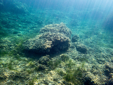 Fondale marino punta delle formiche