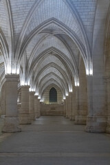 arches of the cathedral 