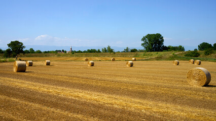 Country landscape near Longare, Vicenza, Italy