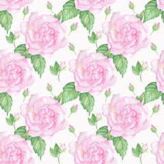 Watercolor seamless pattern from pink rose and buds isolated on white background.Good for home textile,fabrics.