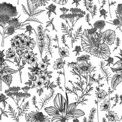 Seamless vector pattern of medical plants and herbs in engraving style. Linear chamomile, chicory, clover, lavender, plantain, valerian, echinacea, rosehip, coltsfoot, ginkgo, nettle, St. John's wort © Viktoriia Holovko