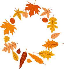 Autumn leaves circle frame.