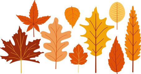 Autumn leaf cutout.