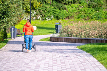 woman with baby carriage on paved path in city park, back  view
