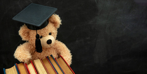 School education concept. Teddy bear with graduation cap and books, copy space