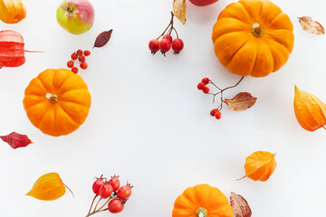 Autumn composition. Pumpkins, apples on white background. Autumn, fall, thanksgiving day concept. Flat lay.