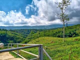 Fototapeta premium landscape of the mountains