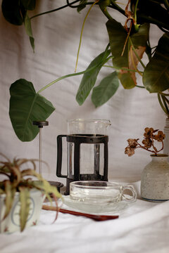 Vertical Shot Of An Empty Coffee French Press And Cup