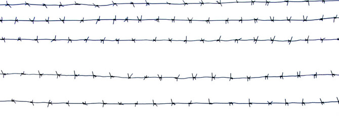 Barbed wire prison isolated on white background. Territory protection. Horizontal separate elements...