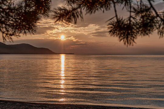 Sunset on bay through pine branches. Summer Siberian landscape. Lake Baikal, Russia