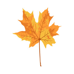 Autumn Maple Leaf