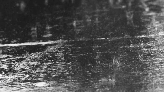 close up shot of heavy raindrops shattering on an asphalt road in the rain