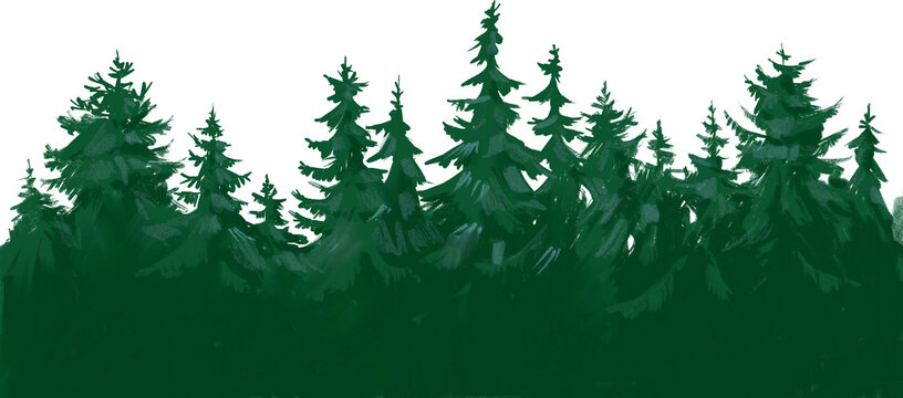 Forest silhoiette, fir tree, color illustration © aksol