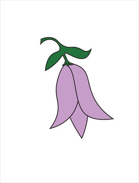 Lapageria, Chilean Bellflower Or Copihue Doodle Icon, Vector Illustration