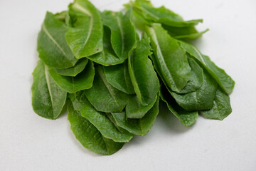 fresh romaine lettuce