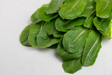 lettuce leaves on a table