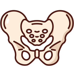 pelvis icon