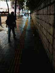 people walking on the street