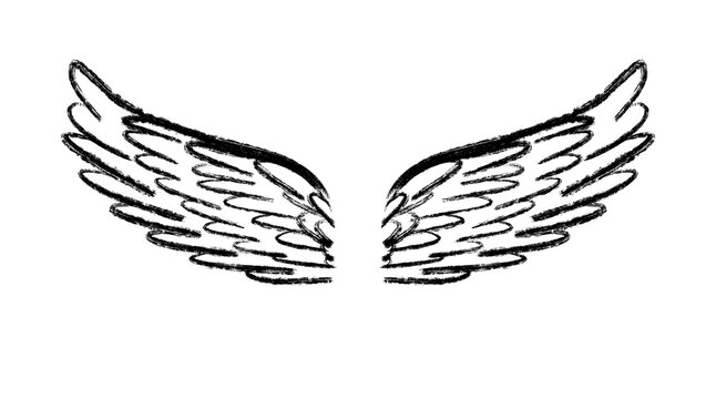illustration of angel wings on white ong background