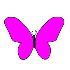 flying butterfly doodle