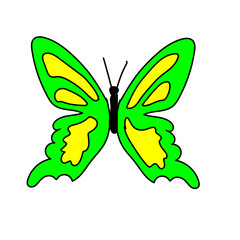 flying butterfly doodle