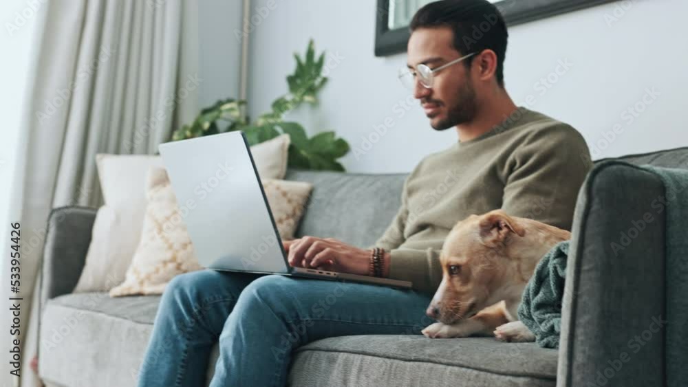Poster laptop working, dog couch and man typing an email on the internet, doing research for small business