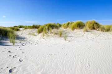 Crédence de cuisine en verre imprimé Mer du Nord, Pays-Bas the dunes, Renesse, Zeeland, the Netherlands