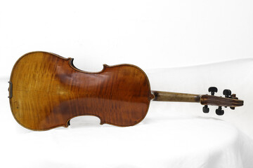 Backside of Violin