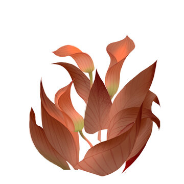 Warm lily blooming, warm orange colour tones, Asian style, noise texture