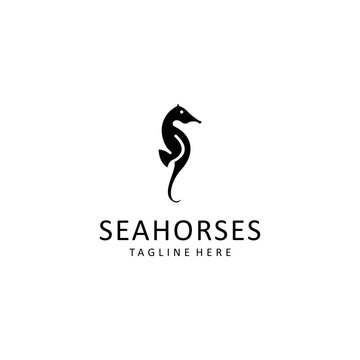 Seahorses logo design icon tamplate