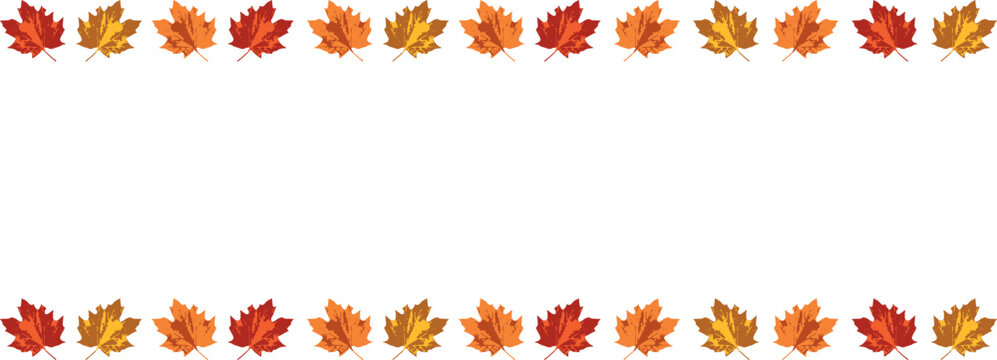 Autumn colored leaves. Vector autumnal banner.	