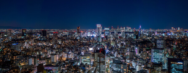 Fototapeta na wymiar Panoramic view of Tokyo city view at daytime. 