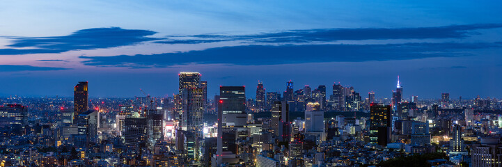 Magic hour cityscape of Tokyo Shinjuku and Shibuya area panoramic view.