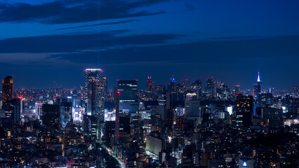 Obraz premium Magic hour cityscape of Tokyo Shinjyuku and Shibuya area panoramic view.