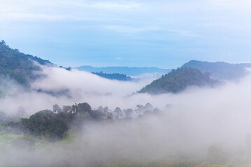 Sea of mist amid the nature of the rainforest in the morning of the Southeast Asia region.