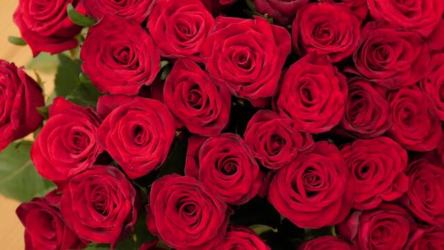 Blooming rose flowers, top view. Beautiful red roses bouquet background, close-up. Wedding backdrop, Valentine's Day concept
