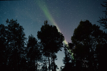 STEVE seen in Northern Ontario (Strong Thermal Emission Velocity Enhancement)