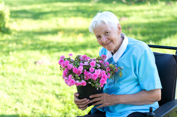 happy old senior woman sitting in a wheelchair and holding a purple flower pot in green garden