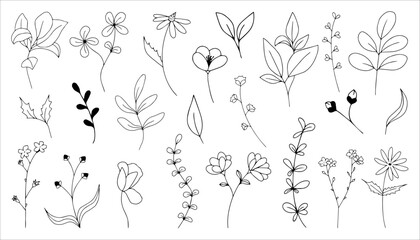 A collection of simple one line drawings of plants and flowers