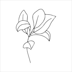 Simple one line drawing of a branch of leaves