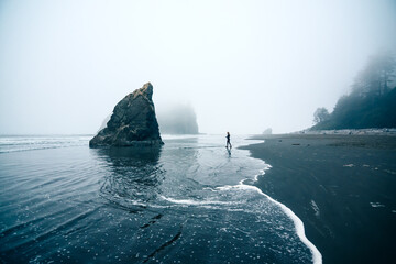Coastal moody blues at Olympic National Park © Selene Miller