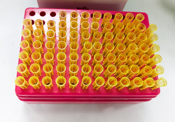 Yellow Tips on red plastic rack for micropipette.