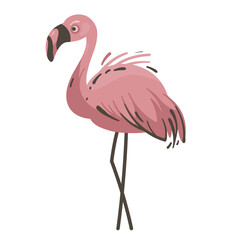 Modern Flamingo Color Logo Template